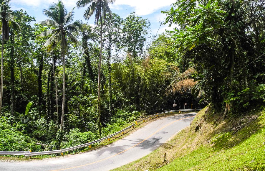 Sharp bends on the island of Bohol