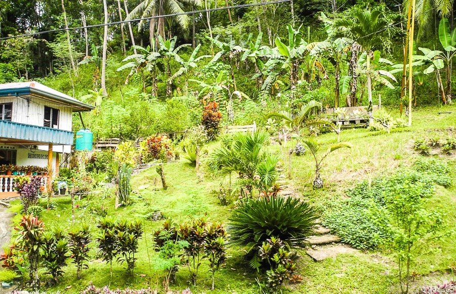 The beauty of the island of Bohol