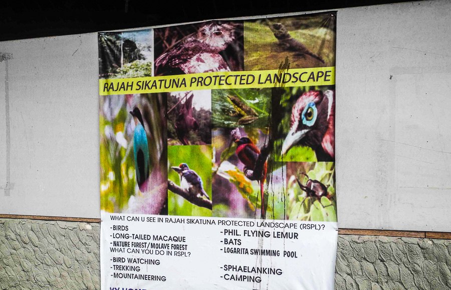 This is where we should go next time!