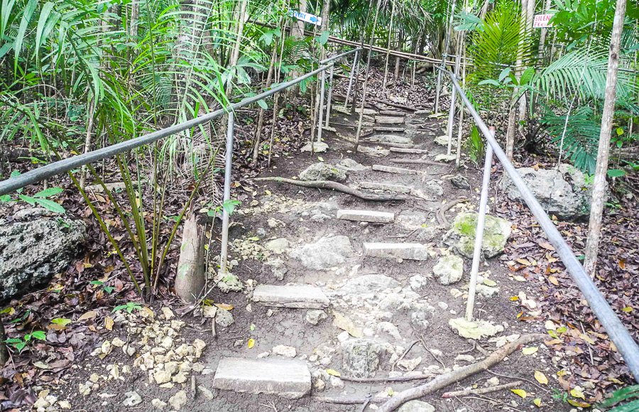 On the path to the tarsiers