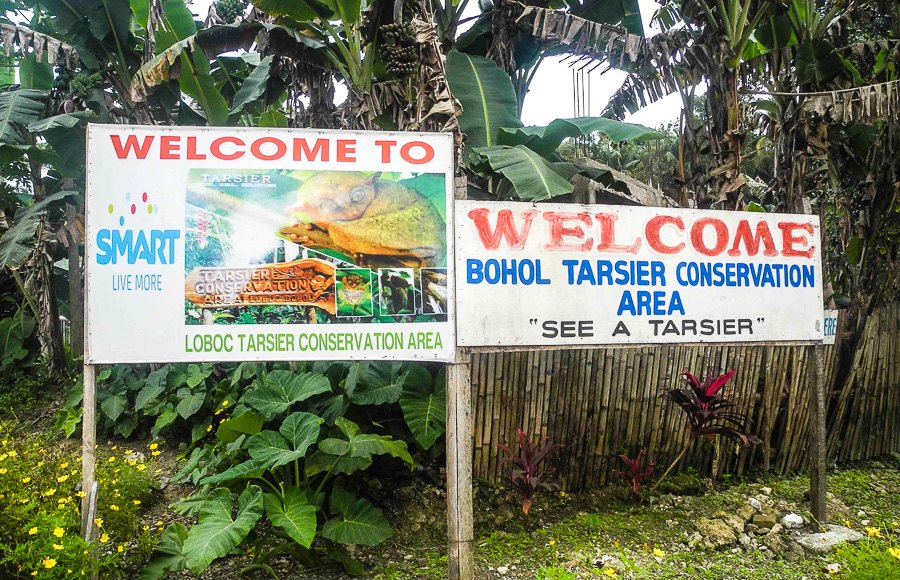 Entrance to the tarsier sanctuary