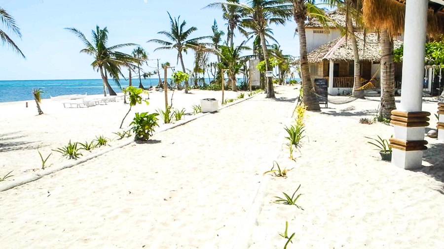 Strand auf Malapascua