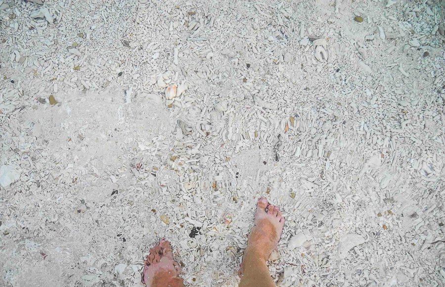 Meeresboden am Ufer der Insel Malapascua