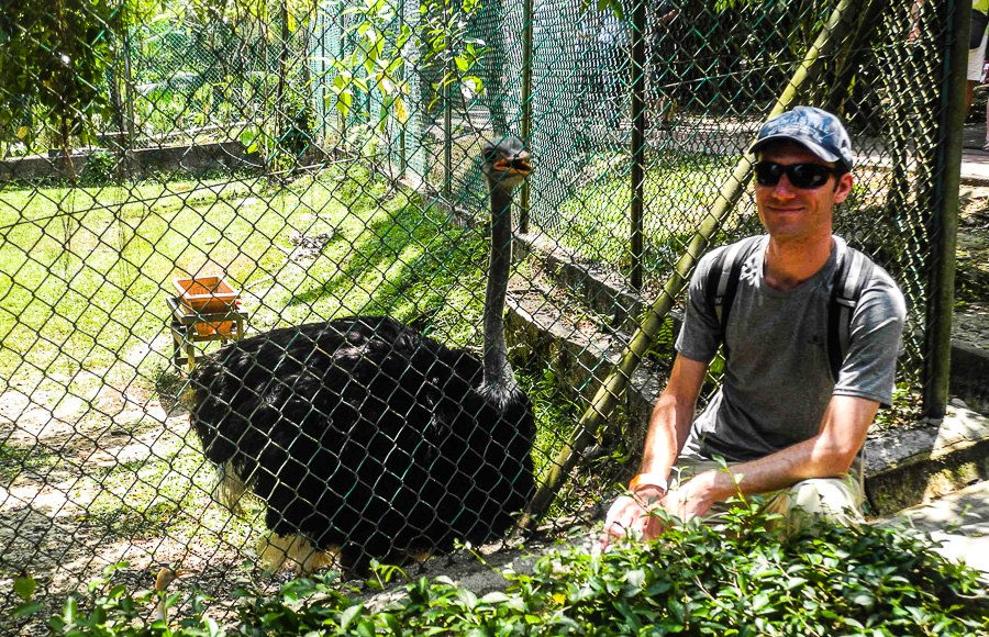At Kuala Lumpur Bird Park