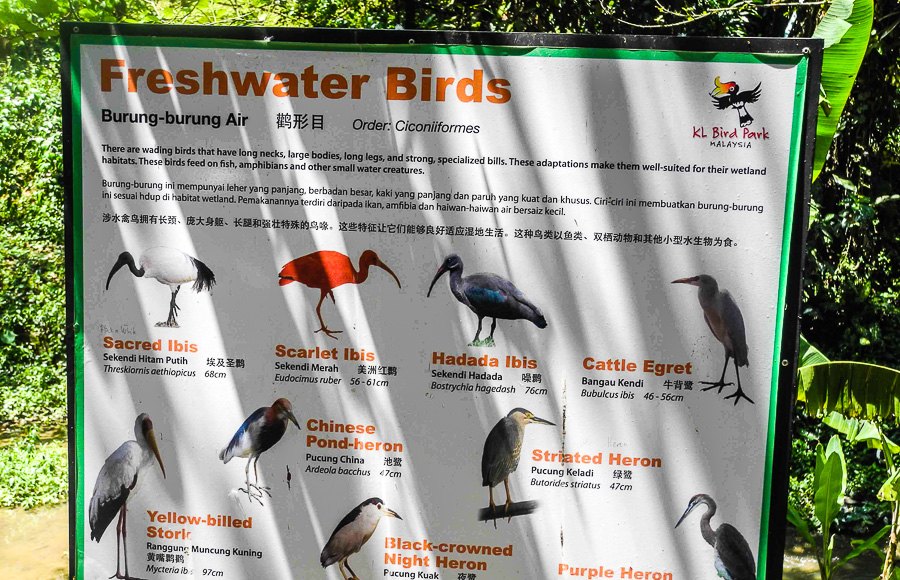 At Kuala Lumpur Bird Park