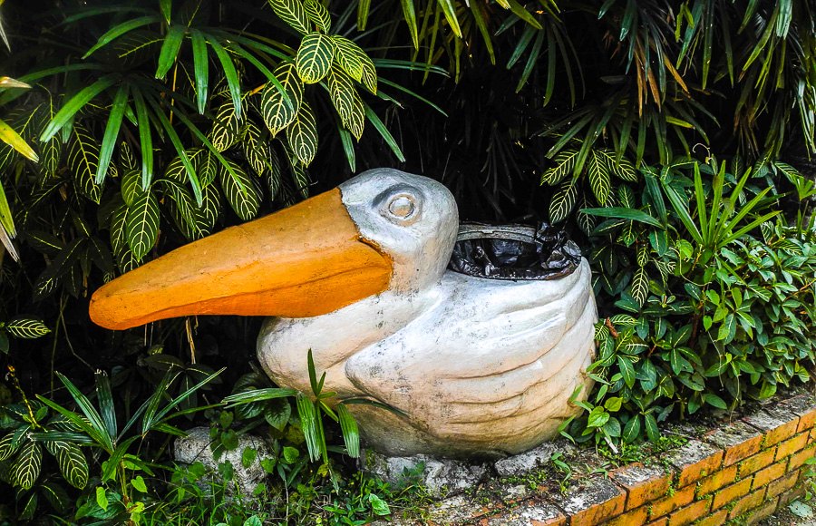 At Kuala Lumpur Bird Park