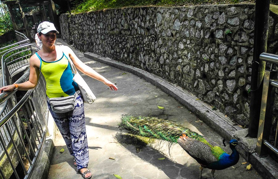 At Kuala Lumpur Bird Park