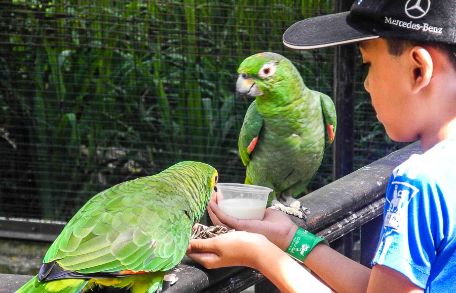 At Kuala Lumpur Bird Park