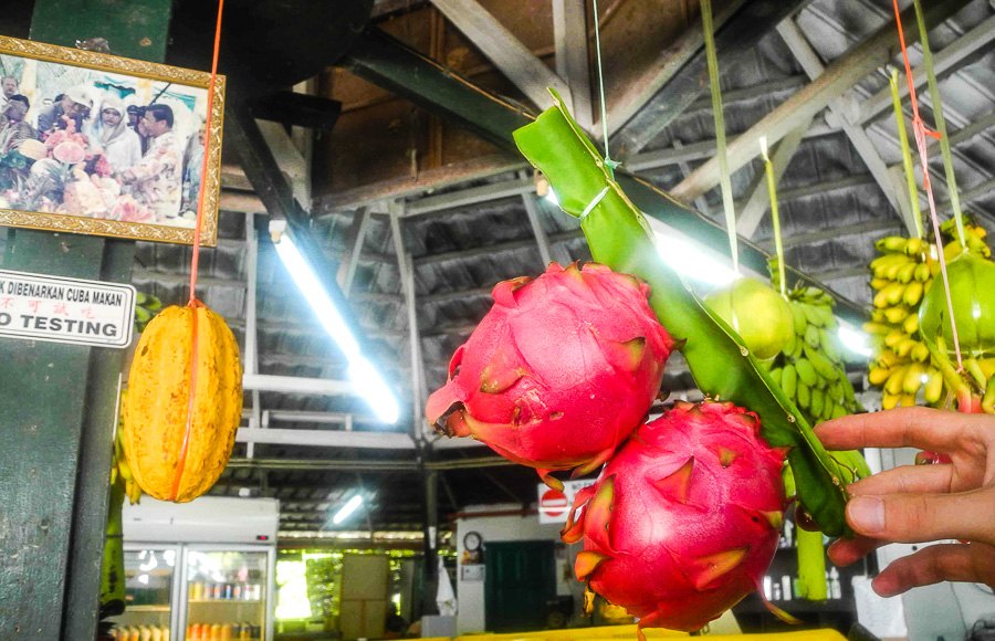 Tropical fruit farm in Penang