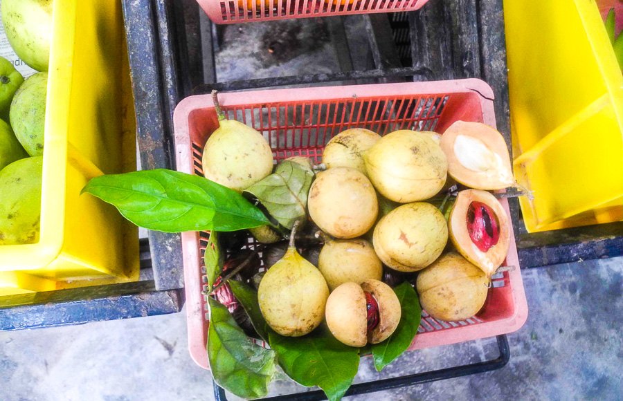 Tropical fruit farm in Penang
