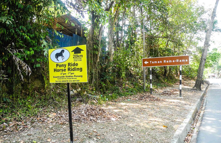 Tropical fruit farm in Penang