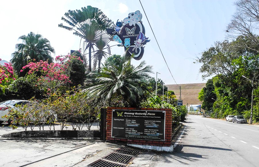 Tropical butterfly farm in Penang