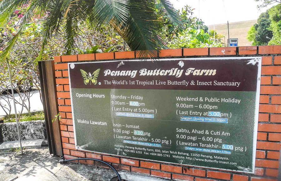 Tropical butterfly farm in Penang