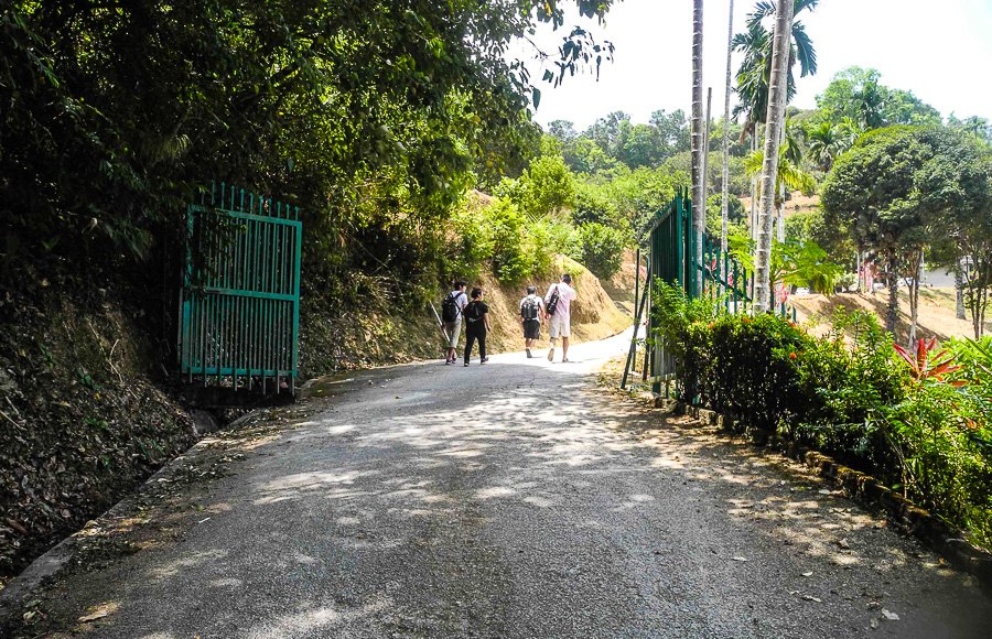 Tropical fruit farm in Penang