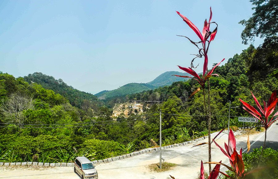Tropical fruit farm in Penang