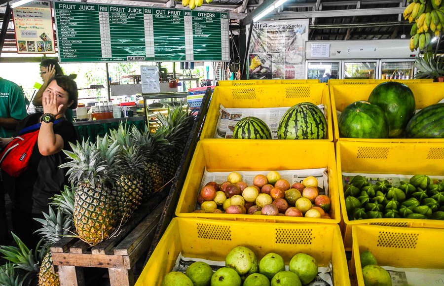 Tropical fruit farm in Penang