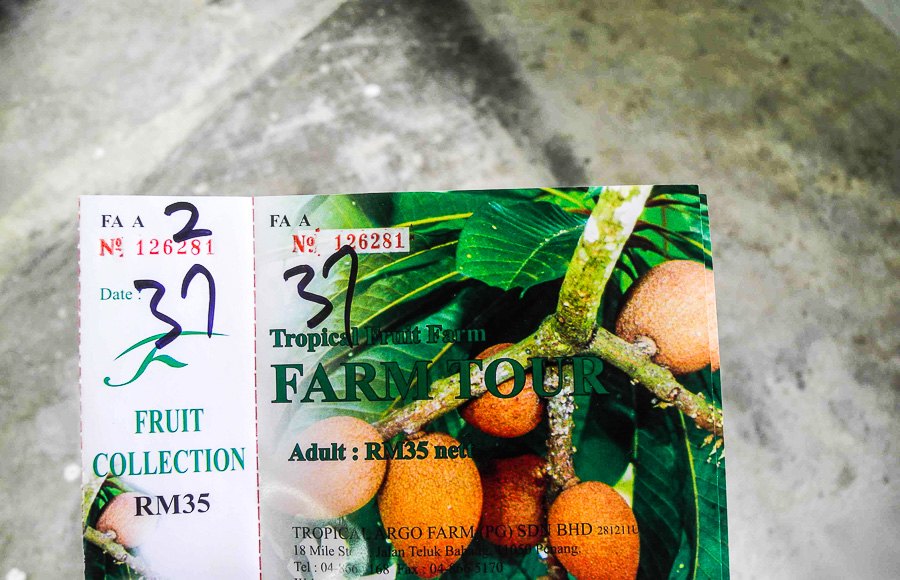 Tropical fruit farm in Penang