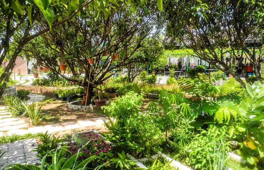Tropical fruit farm in Penang