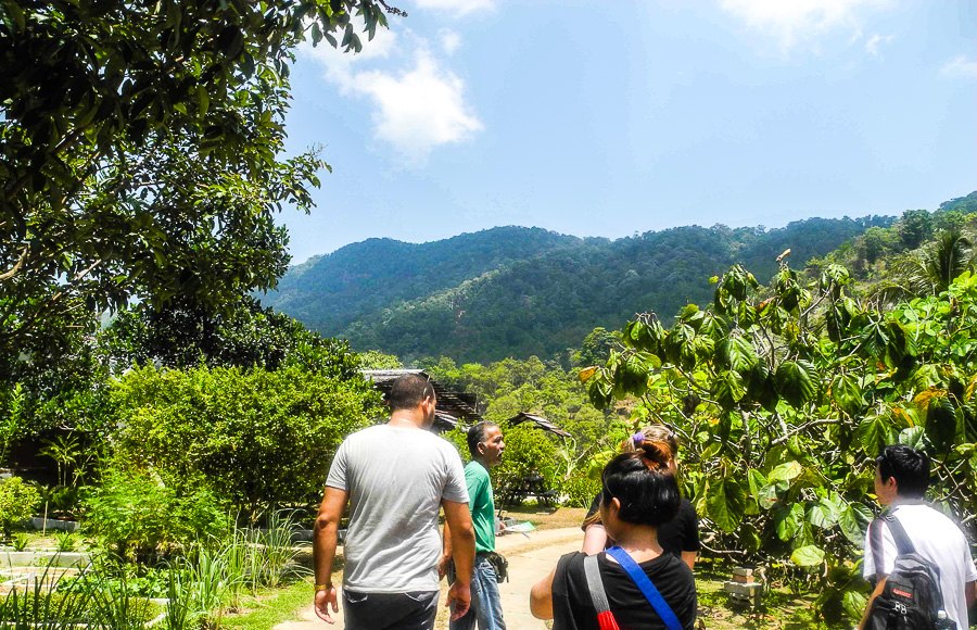 Tropical fruit farm in Penang