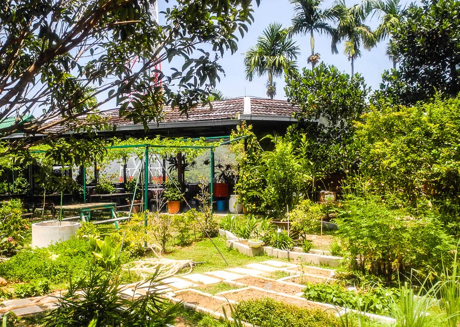 Tropical fruit farm in Penang