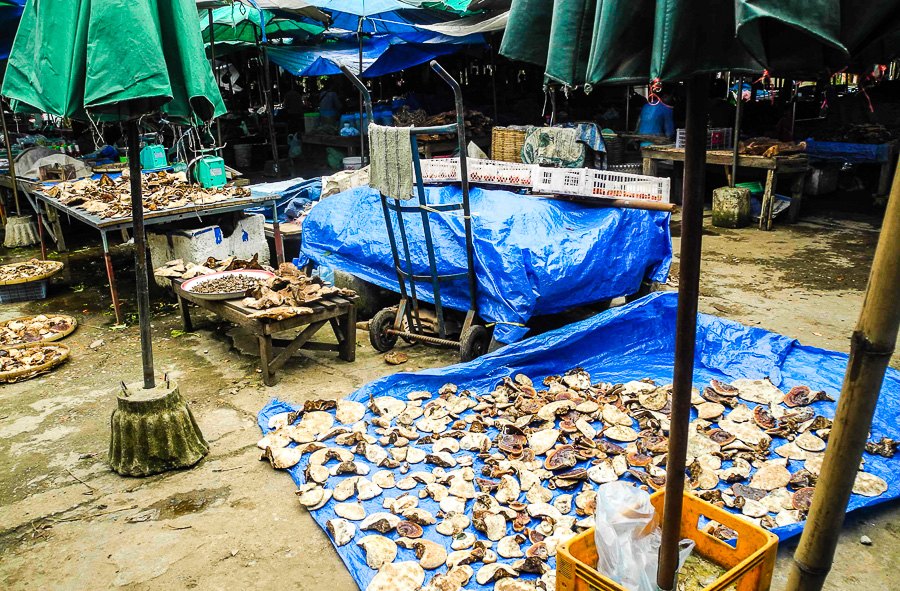 Market in Vang Vieng