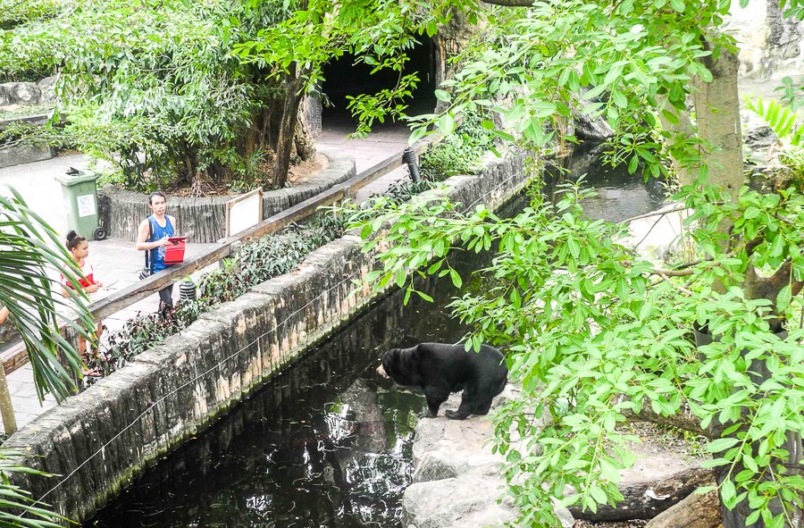 At Bangkok's Dusit Zoo
