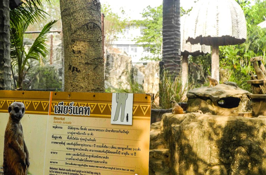 At Bangkok's Dusit Zoo
