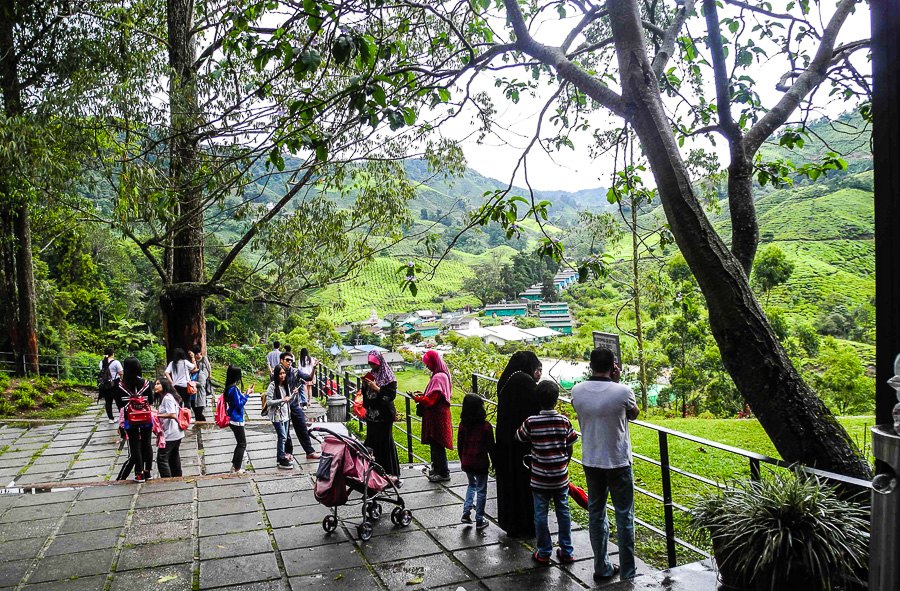 Tea plantations in Malaysia, Cameron Highlands