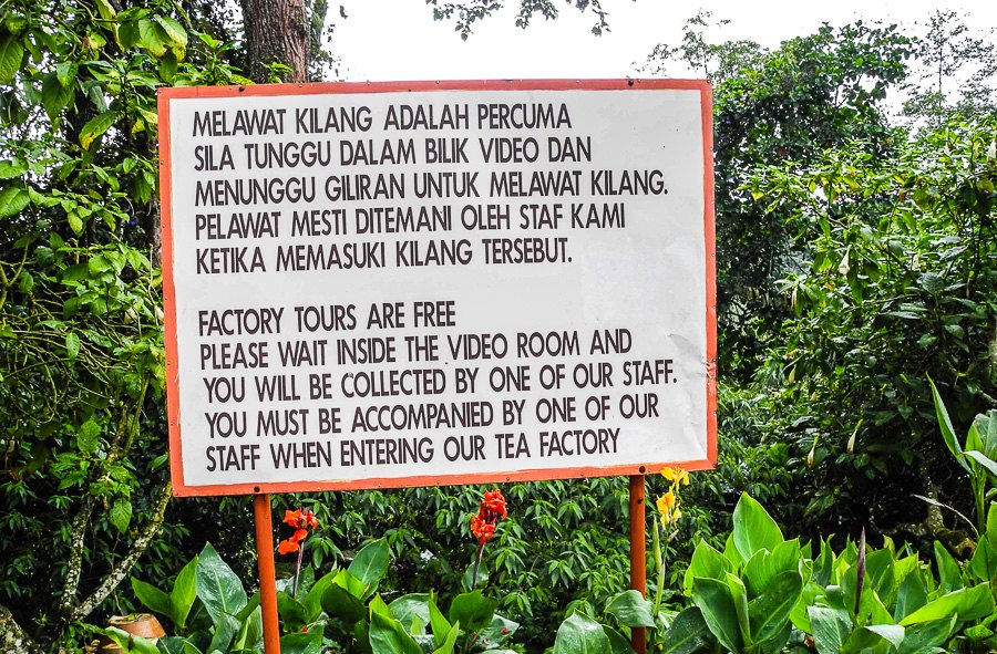 Tea plantations in Malaysia, Cameron Highlands