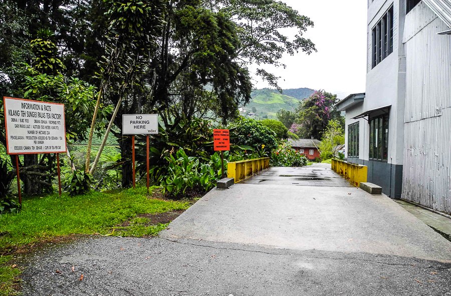 Tea plantations in Malaysia, Cameron Highlands