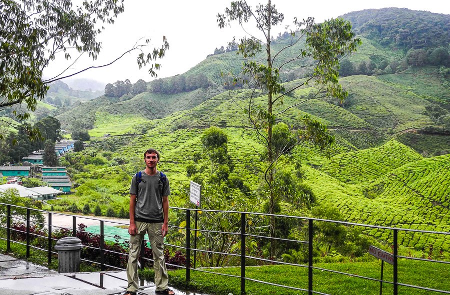 Tea plantations in Malaysia, Cameron Highlands