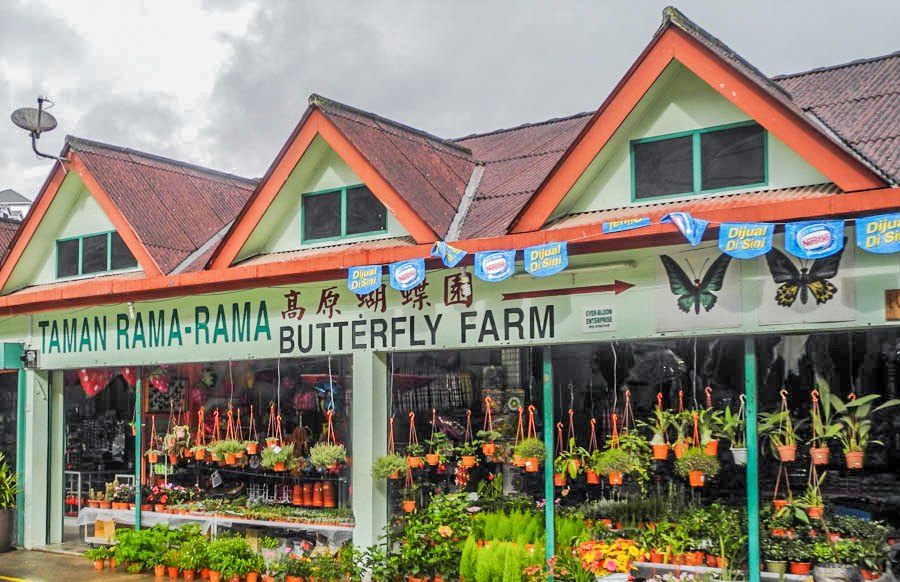 Butterfly Farm in Tanah Rata