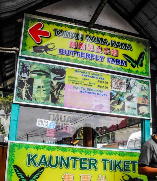 Butterfly Farm in Tanah Rata