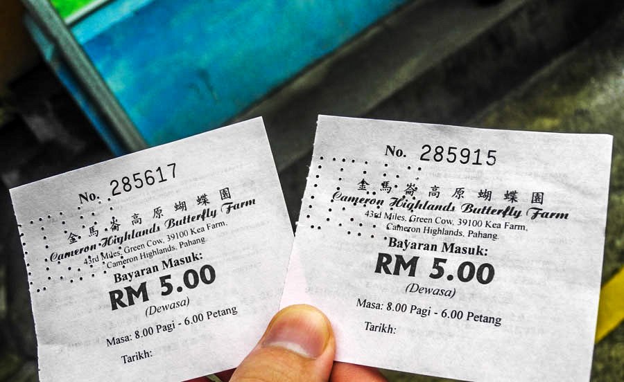 Tickets to the Butterfly Farm in Tanah Rata