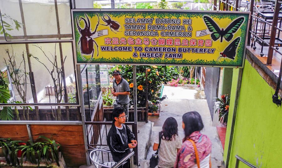 Butterfly Farm in Malaysia
