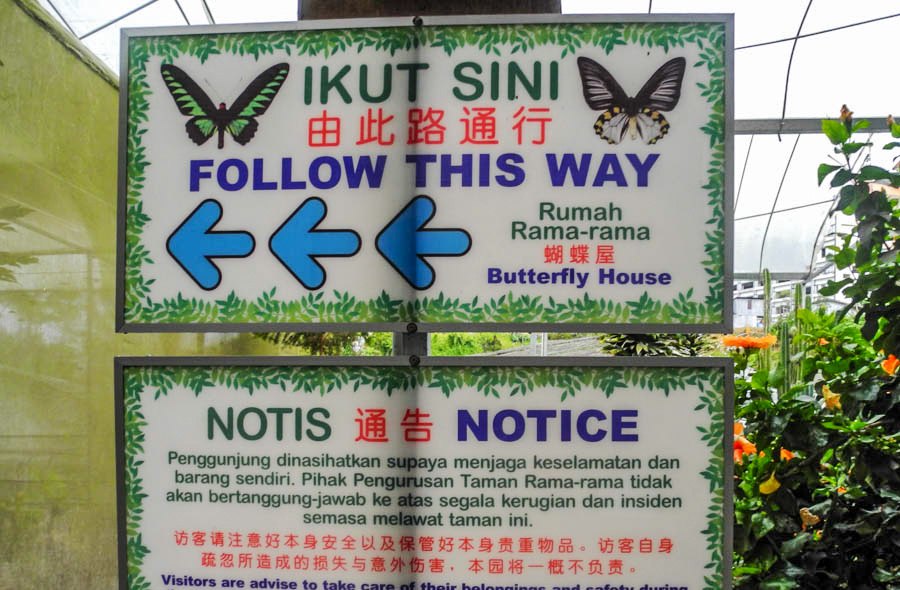 Butterfly Farm in Malaysia