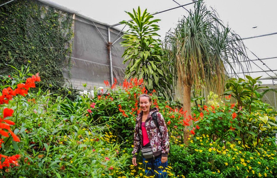 At the butterfly farm, Cameron Highlands