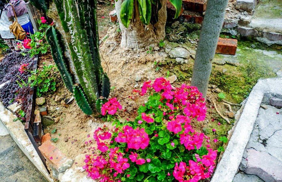 Butterfly farm, Malaysia