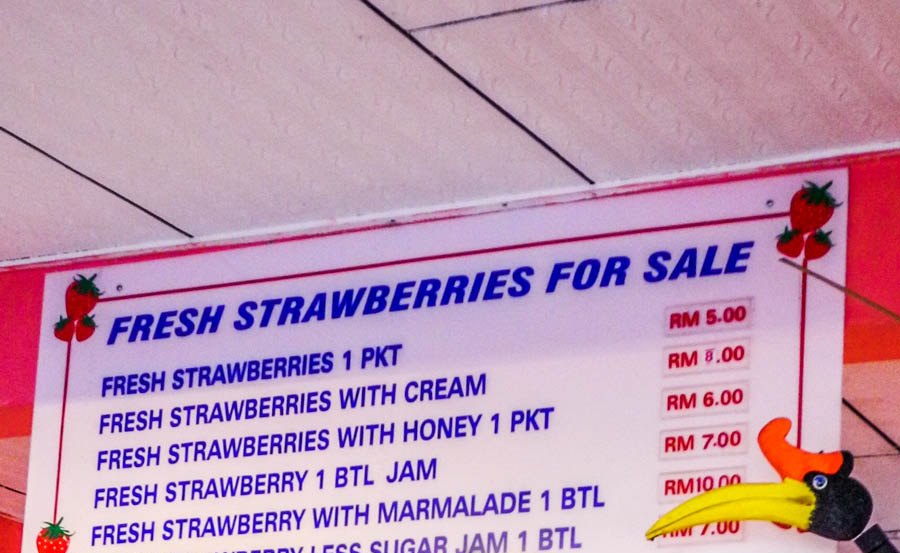 Erdbeeren in Malaysia