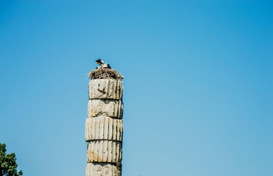 the Temple of Artemis in Turkey