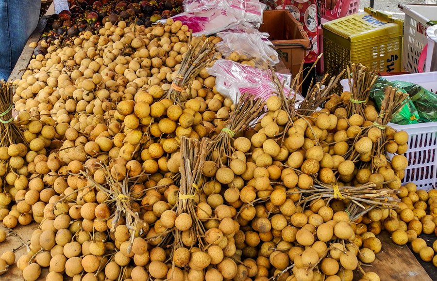 longan