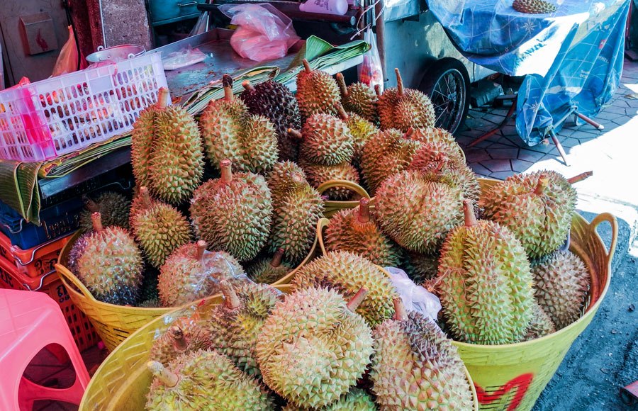 durian