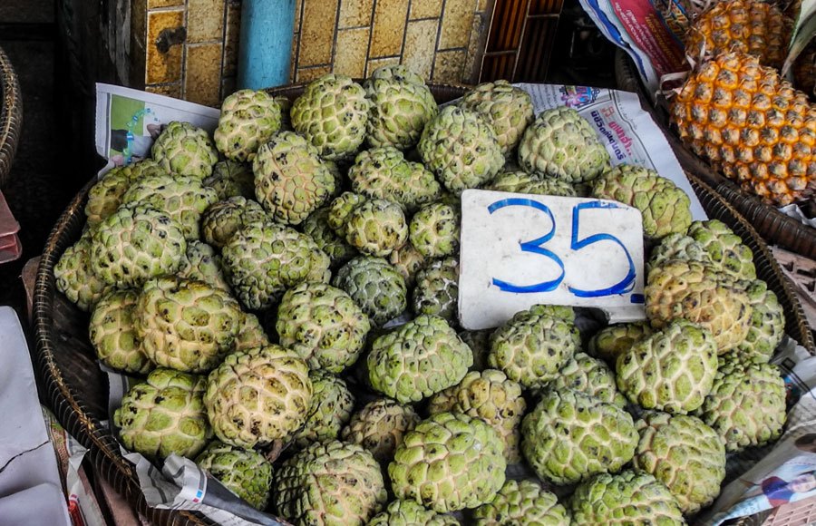sugar apple
