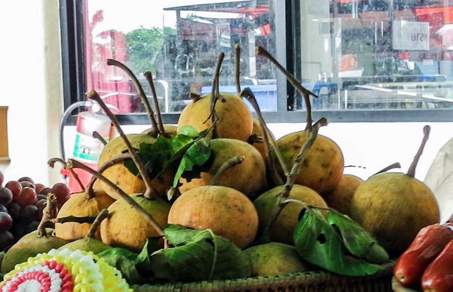 santol