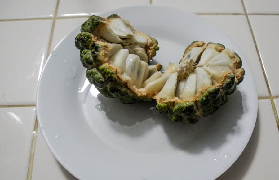 sugar apple