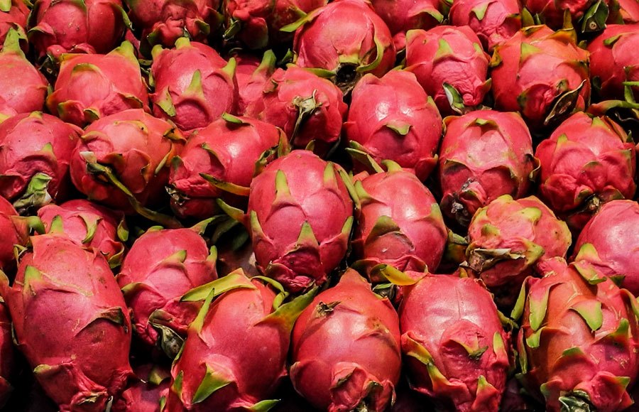dragon fruit