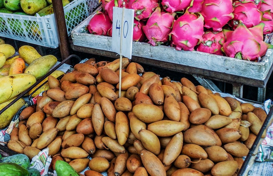 sapodilla