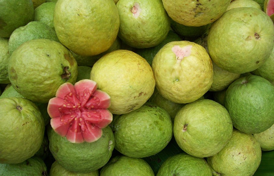guava