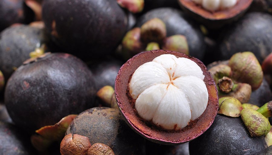 mangosteen