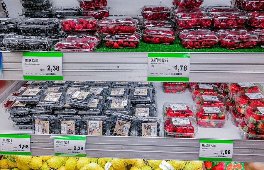 food prices in Florence